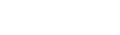 Возможность проведения конференций